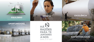 The Navigator Company - Procuramos o teu talento e a tua vontade de evoluir! | Talent Portugal