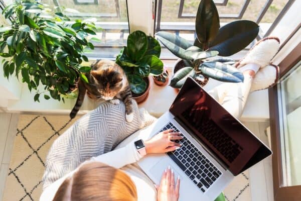 Quais as empresas que te oferecem Teletrabalho?